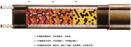 自限温电伴热带