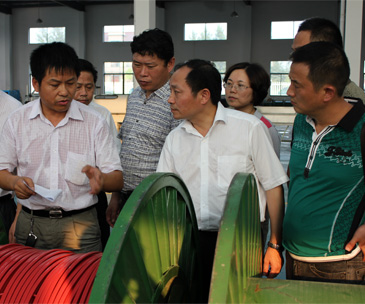 市领导参观电伴热带生产车间